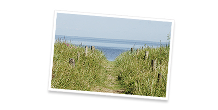  Direkt am Greifswalder Bodden 